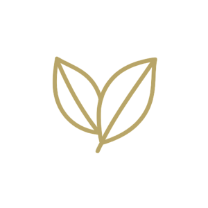 Dummy Article Title: The Evolving Purpose of Dummy Text in Digital Content Creation